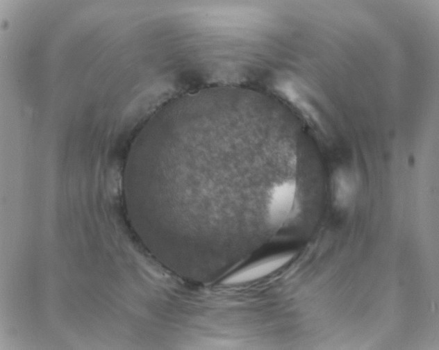 X0000089710517200706211346