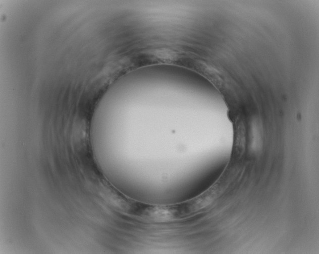 X0000089710518200706211346