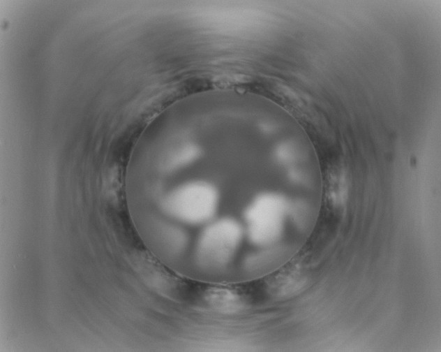 X0000089710519200706211346