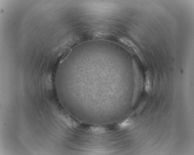 X0000089710520200706211346