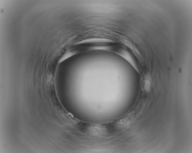 X0000089710521200706211346