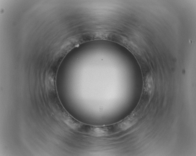 X0000089710522200706211346