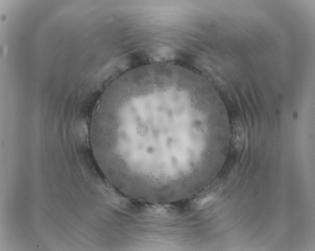 X0000089710523200706211346