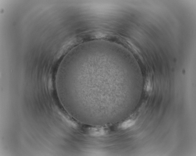 X0000089710524200706211346