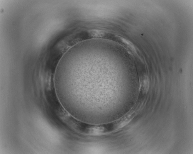 X0000089710525200706211346