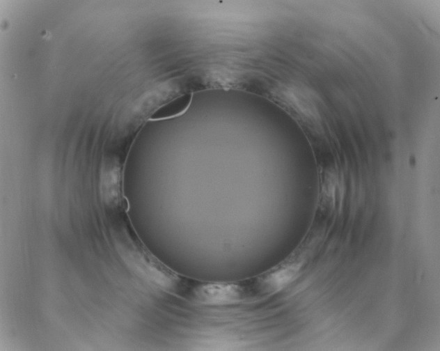 X0000089710526200706211346