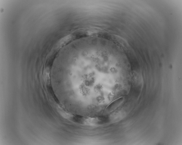 X0000089710527200706211346