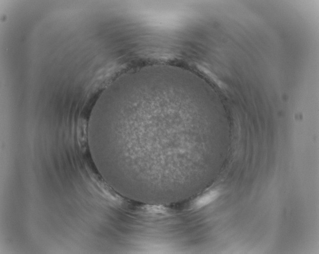 X0000089710528200706211346