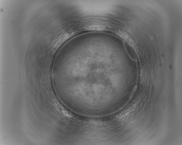 X0000089710529200706211345