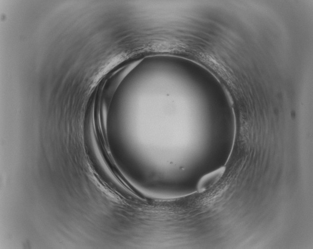 X0000089710530200706211345