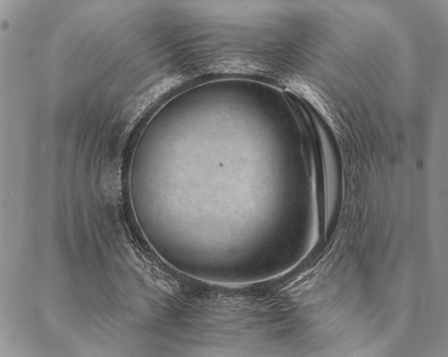 X0000089710531200706211345