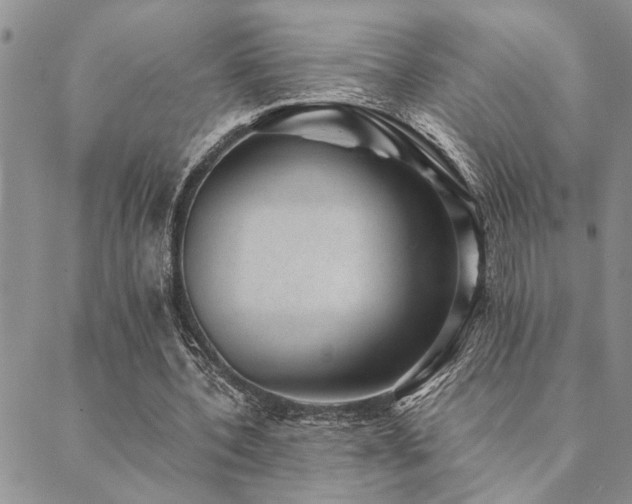 X0000089710532200706211345