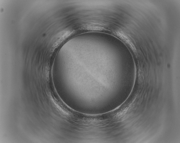 X0000089710533200706211345