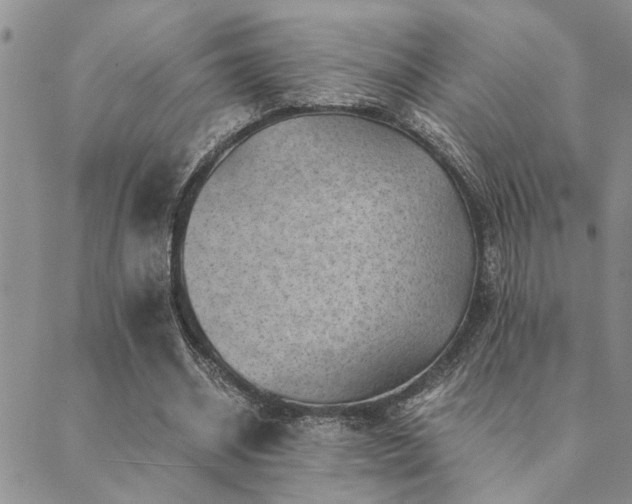 X0000089710534200706211345