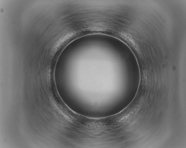 X0000089710535200706211345