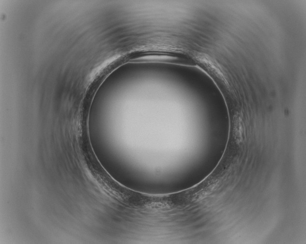 X0000089710536200706211345