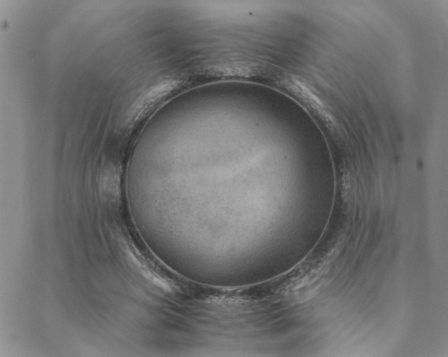 X0000089710537200706211345