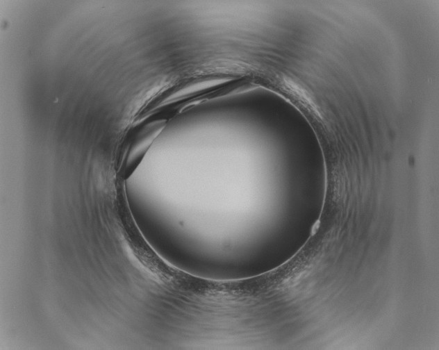 X0000089710538200706211346