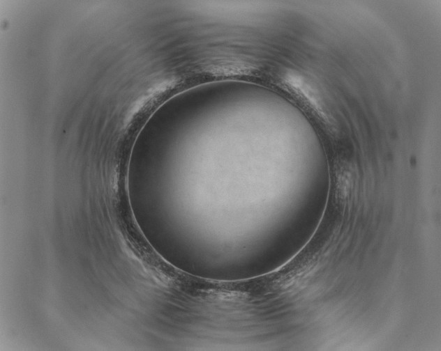 X0000089710539200706211346