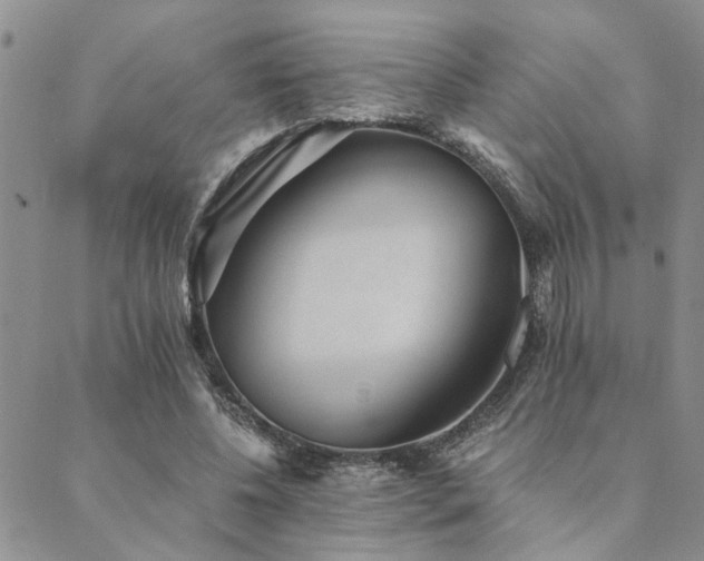 X0000089710540200706211346