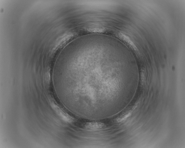 X0000089710541200706211346