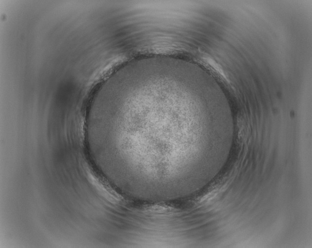 X0000089710542200706211346