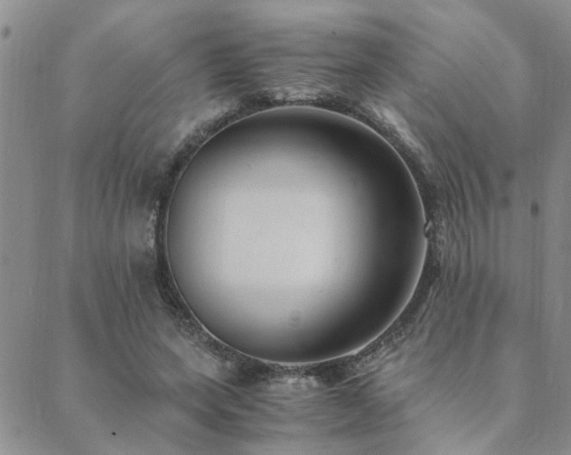 X0000089710543200706211346