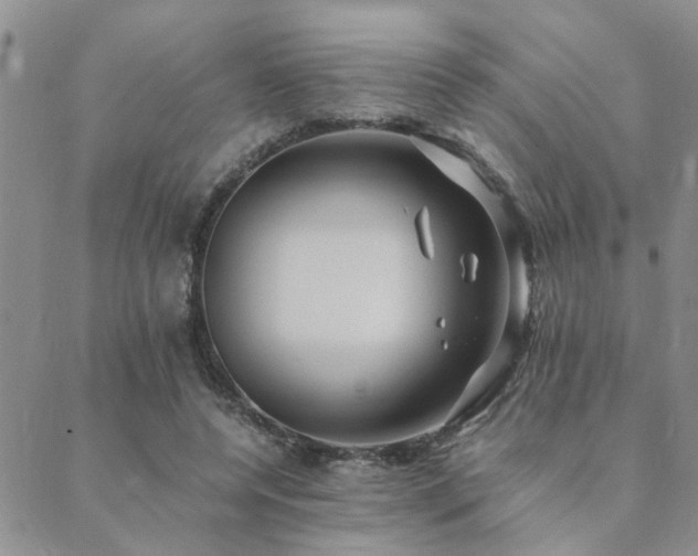 X0000089710544200706211346