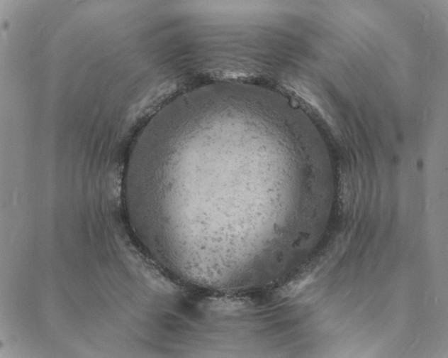 X0000089710545200706211346