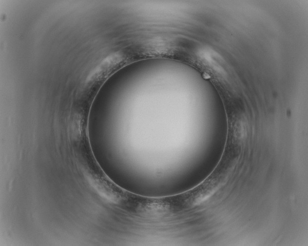 X0000089710546200706211346