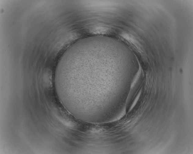 X0000089710547200706211346