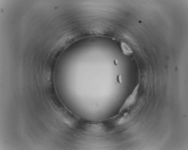 X0000089710548200706211346