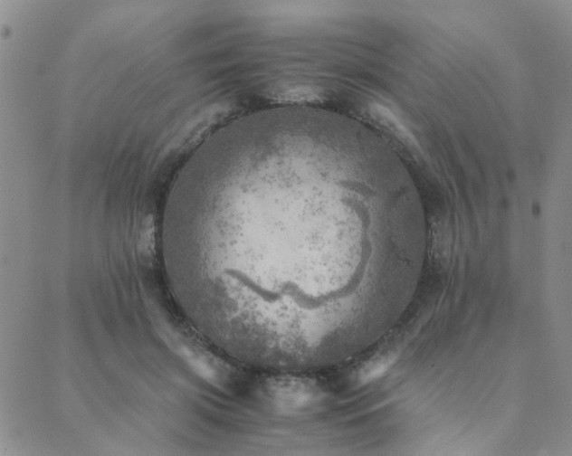 X0000089710549200706211346