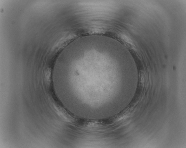 X0000089710550200706211346