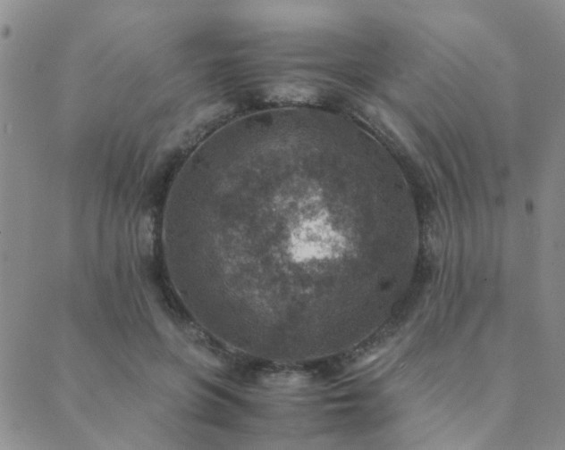 X0000089710551200706211346