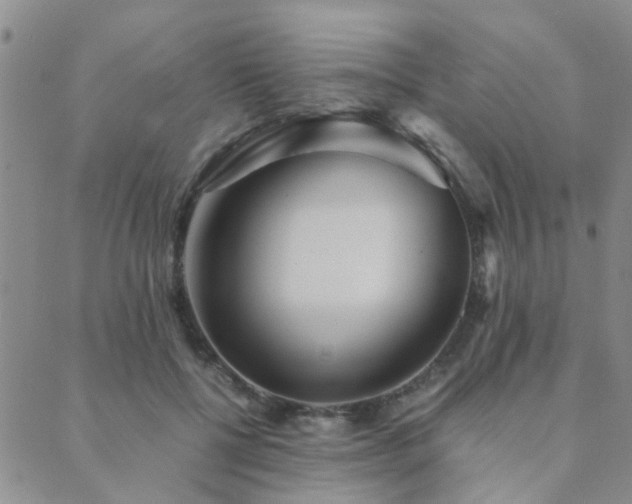 X0000089710552200706211346