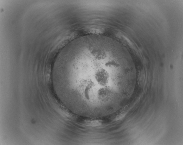 X0000089710553200706211346