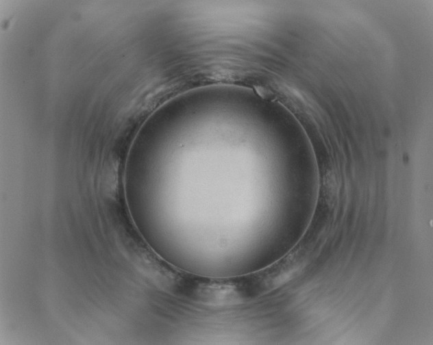 X0000089710554200706211346