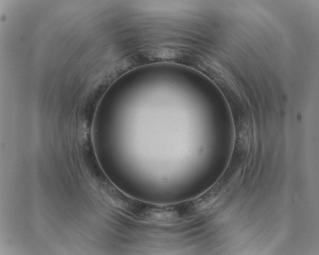 X0000089710555200706211346