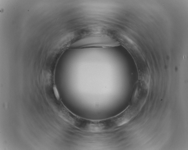 X0000089710556200706211346