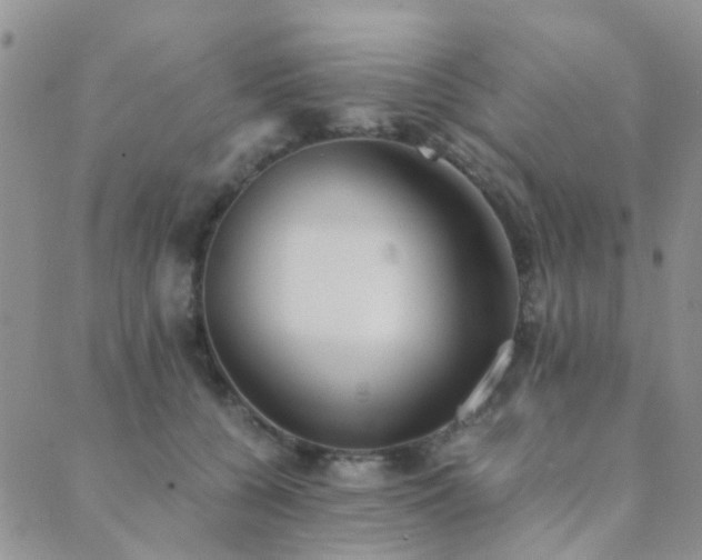 X0000089710560200706211346