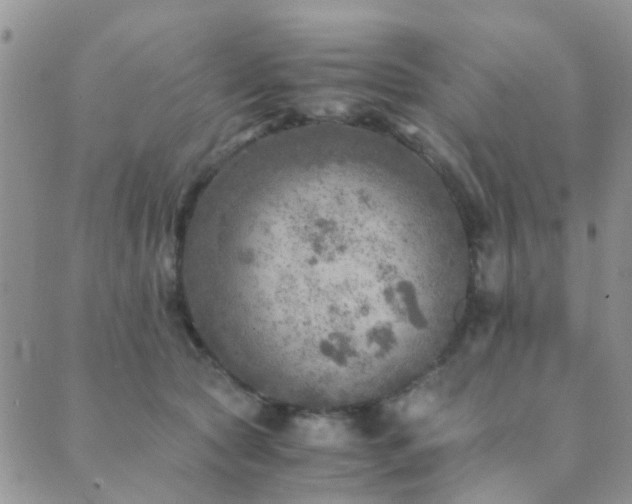 X0000089710561200706211346