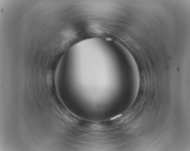 X0000089710562200706211346