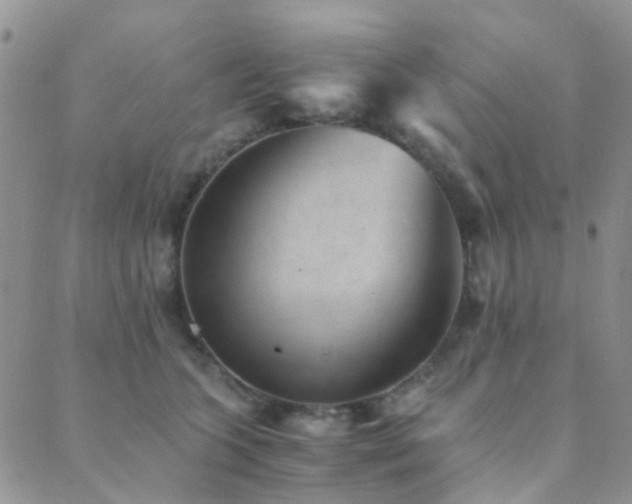 X0000089710563200706211346