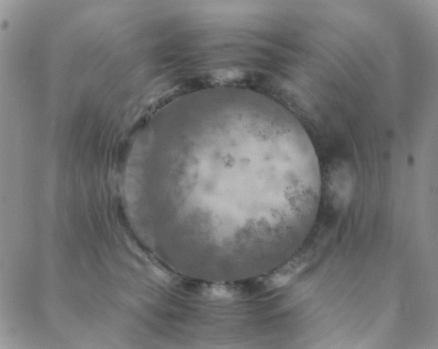 X0000089710565200706211346