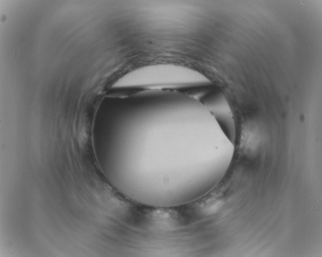 X0000089710566200706211346