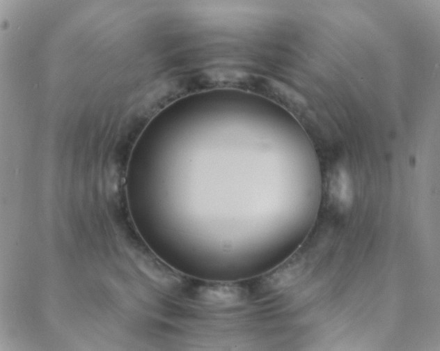 X0000089710567200706211346