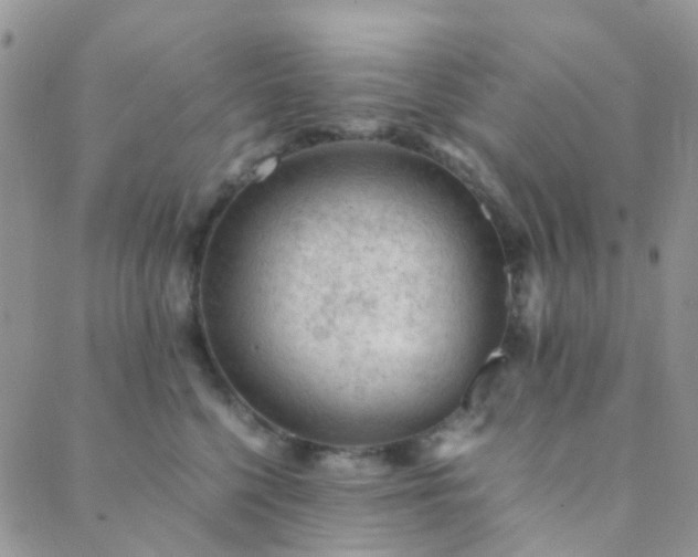 X0000089710568200706211346