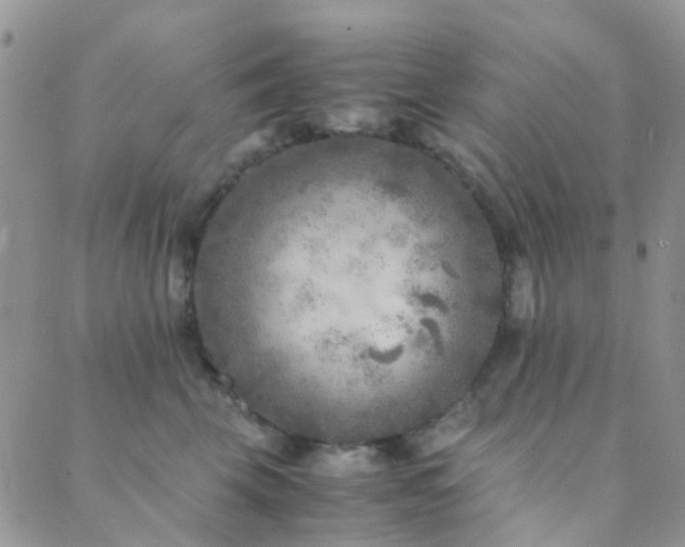 X0000089710569200706211346