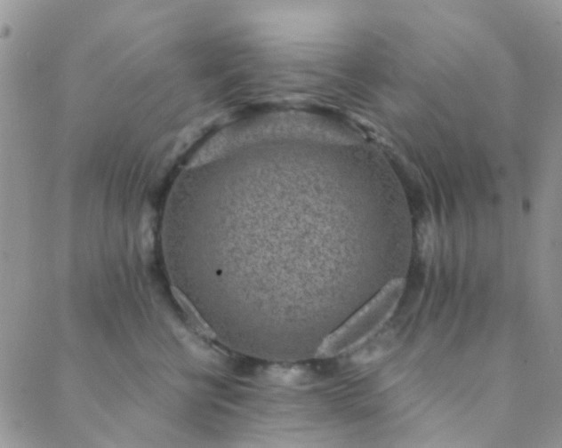 X0000089710570200706211346